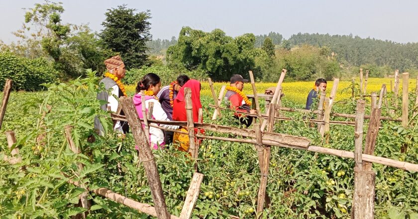 दाङमा जीविकोपार्जन परियोजनाको संयुक्त अनुगमन