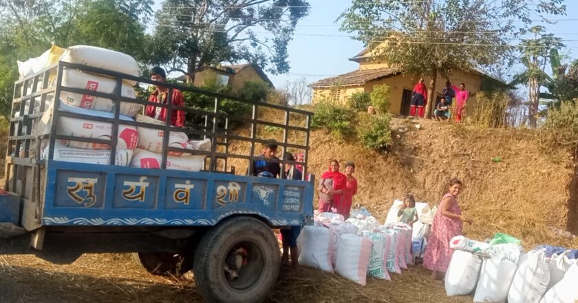 खाद्य कम्पनी तुलसीपुरले धान खरिद गर्दै